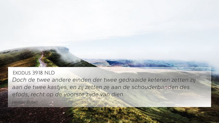Exodus 39:18 NLD Bible Verse Image