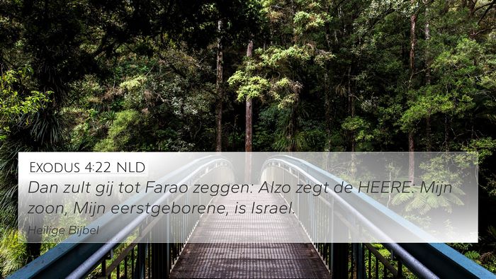 Exodus 4:22 NLD Bible Verse Image