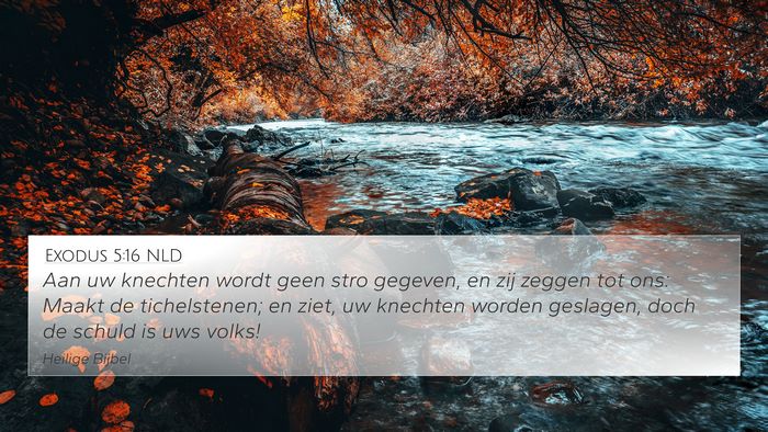 Exodus 5:16 NLD Bible Verse Image