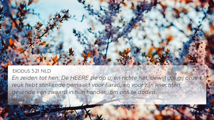 Exodus 5:21 NLD Bible Verse Image