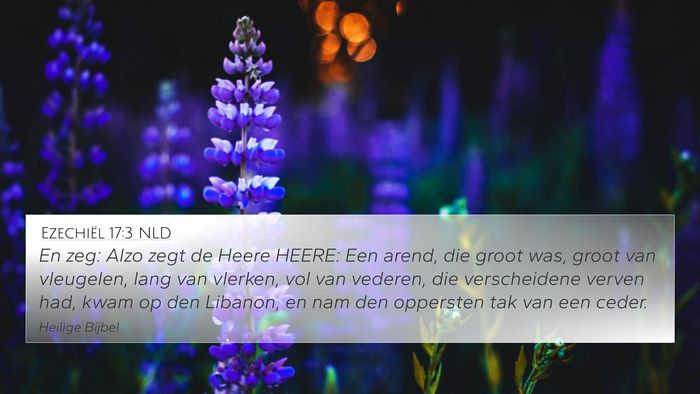 Ezechiël 17:3 NLD Bible Verse Image