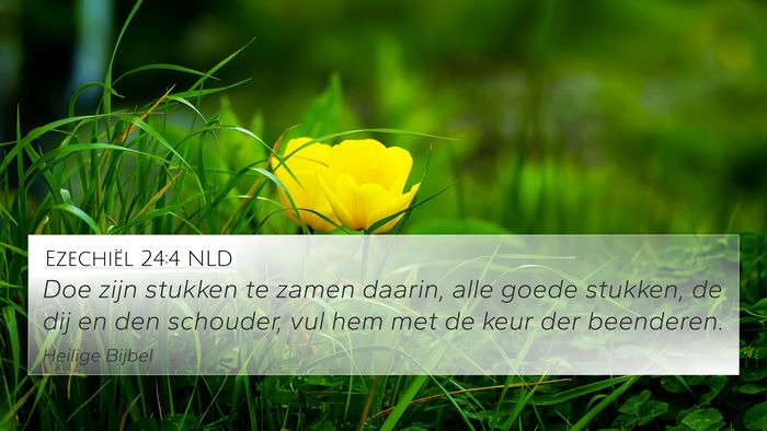 Ezechiël 24:4 NLD Bible Verse Image