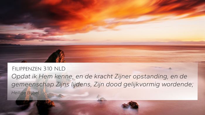 Filippenzen 3:10 NLD Bible Verse Image