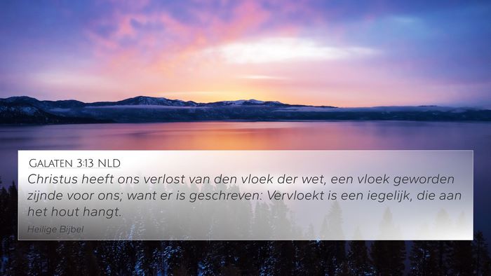 Galaten 3:13 NLD Bible Verse Image