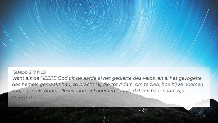 Genesis 2:19 NLD Bible Verse Image