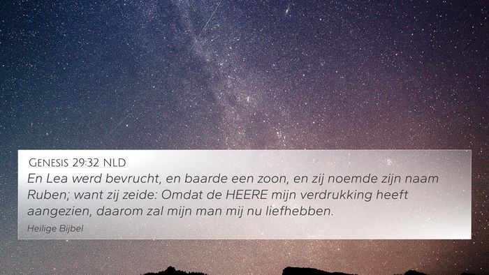 Genesis 29:32 NLD Bible Verse Image