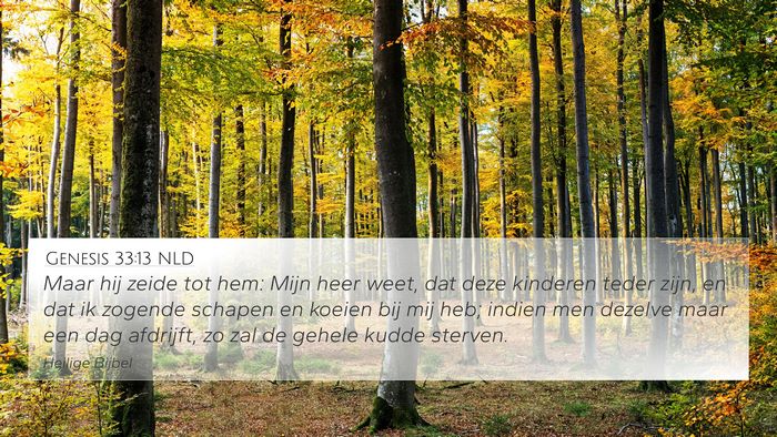 Genesis 33:13 NLD Bible Verse Image
