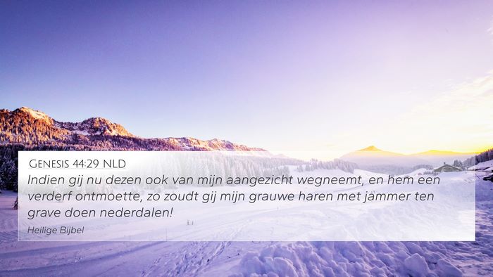 Genesis 44:29 NLD Bible Verse Image