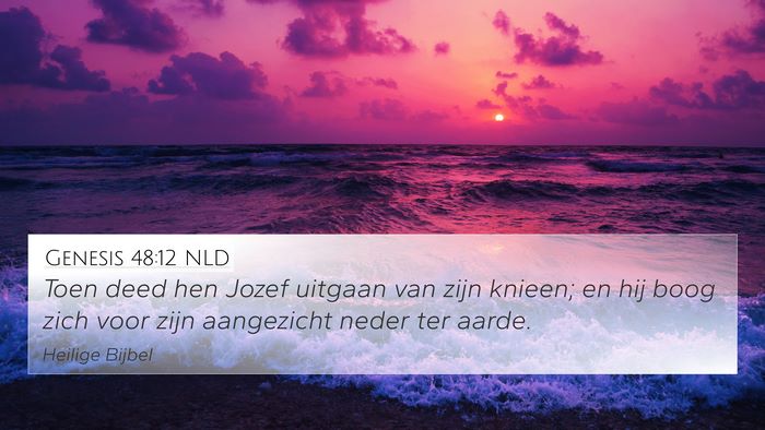 Genesis 48:12 NLD 4K Wallpaper - Toen deed hen Jozef uitgaan van zijn knieen; en - 4K Wallpaper Bible Verse