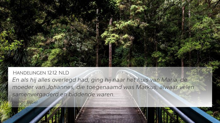 Handelingen 12:12 NLD Bible Verse Image