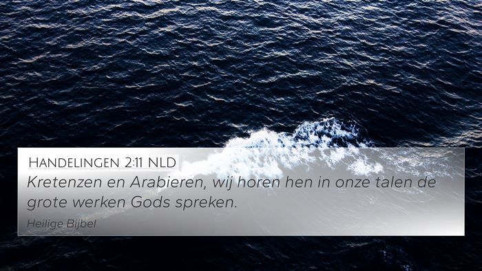 Handelingen 2:11 NLD Bible Verse Image