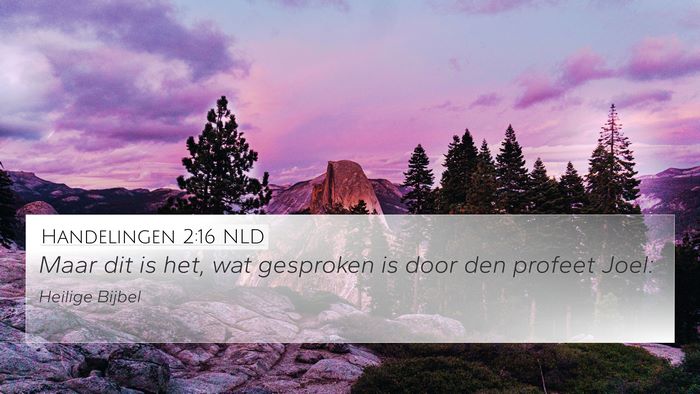 Handelingen 2:16 NLD Bible Verse Image