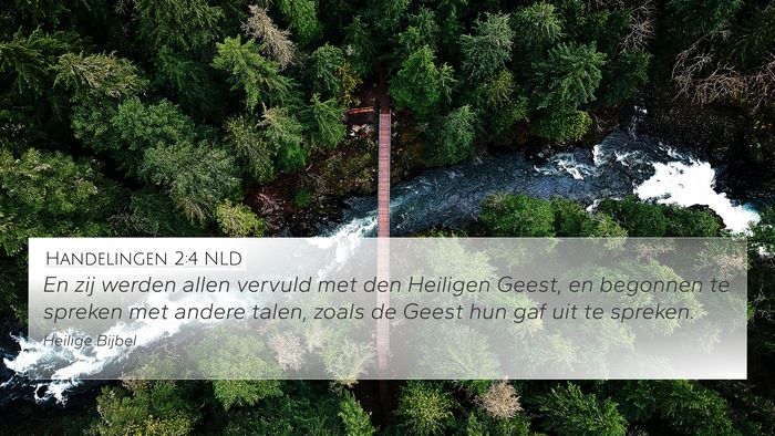 Handelingen 2:4 NLD Bible Verse Image