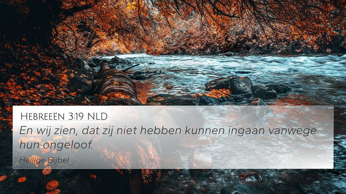 Hebreeën 3:19 NLD Bible Verse Image