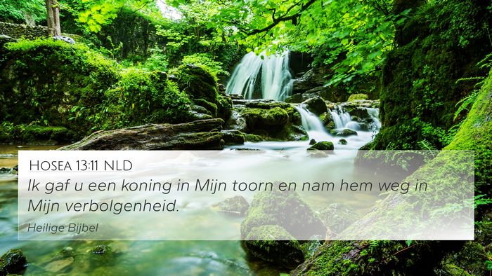 Hosea 13:11 NLD Bible Verse Image