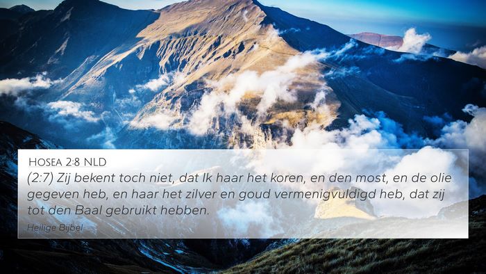 Hosea 2:8 NLD Bible Verse Image