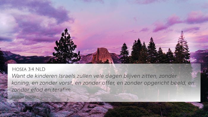 Hosea 3:4 NLD Bible Verse Image
