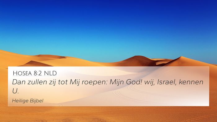 Hosea 8:2 NLD Bible Verse Image