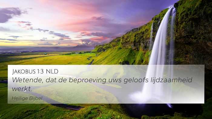 Jakobus 1:3 NLD 4K Wallpaper - Wetende, dat de beproeving uws geloofs - 4K Wallpaper Bible Verse