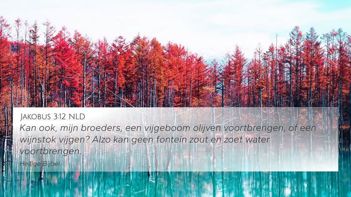 Jakobus 3:12 NLD Bible Verse Image