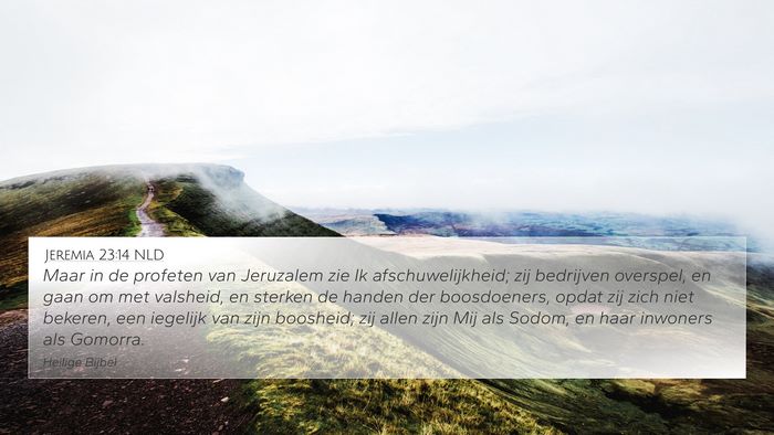 Jeremia 23:14 NLD Bible Verse Image