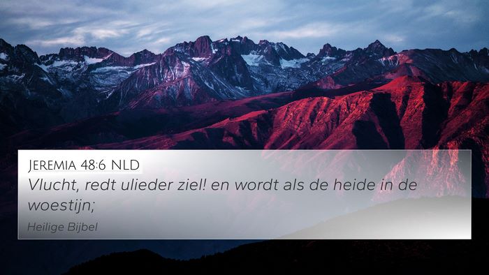 Jeremia 48:6 NLD Bible Verse Image