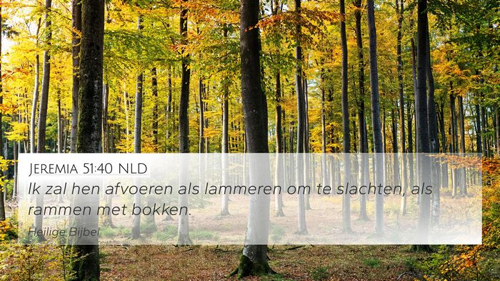Jeremia 51:40 NLD Bible Verse Image