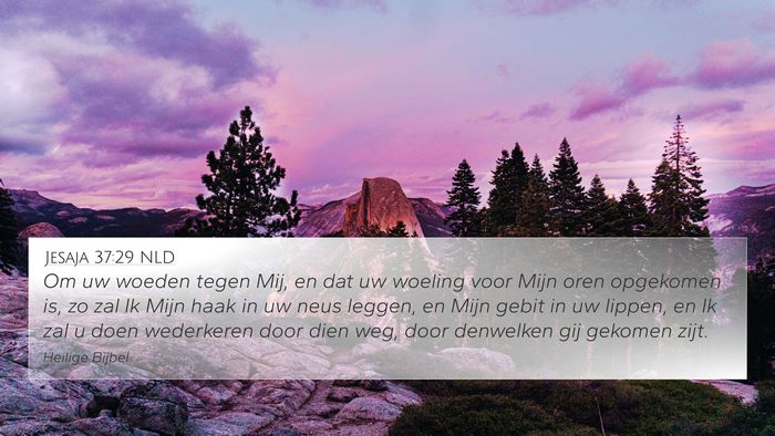 Jesaja 37:29 NLD Bible Verse Image