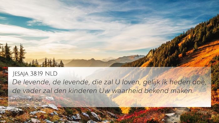 Jesaja 38:19 NLD Bible Verse Image