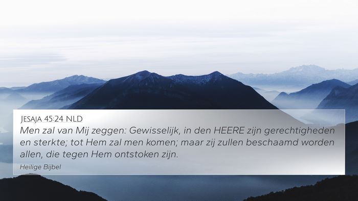 Jesaja 45:24 NLD Bible Verse Image