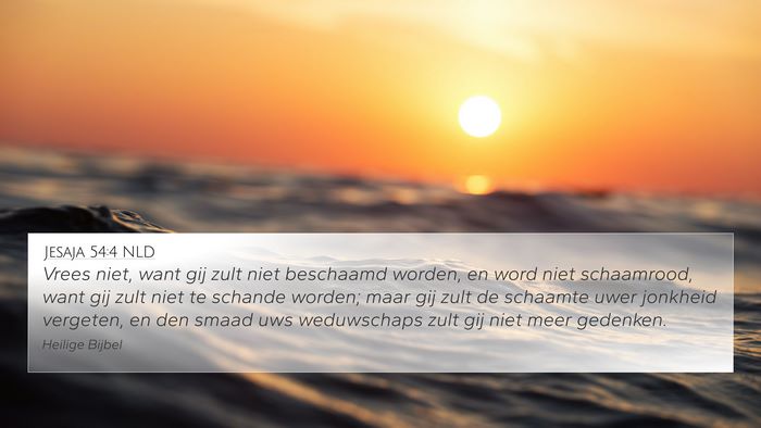 Jesaja 54:4 NLD Bible Verse Image