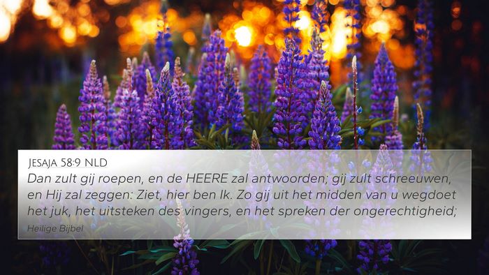 Jesaja 58:9 NLD Bible Verse Image