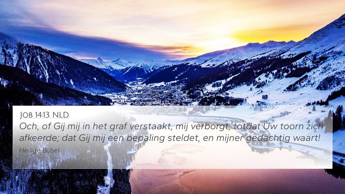 Job 14:13 NLD 4K Wallpaper - Och, of Gij mij in het graf verstaakt, mij - 4K Wallpaper Bible Verse