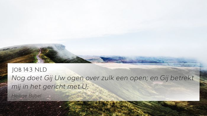Job 14:3 NLD 4K Wallpaper - Nog doet Gij Uw ogen over zulk een open; en Gij - 4K Wallpaper Bible Verse