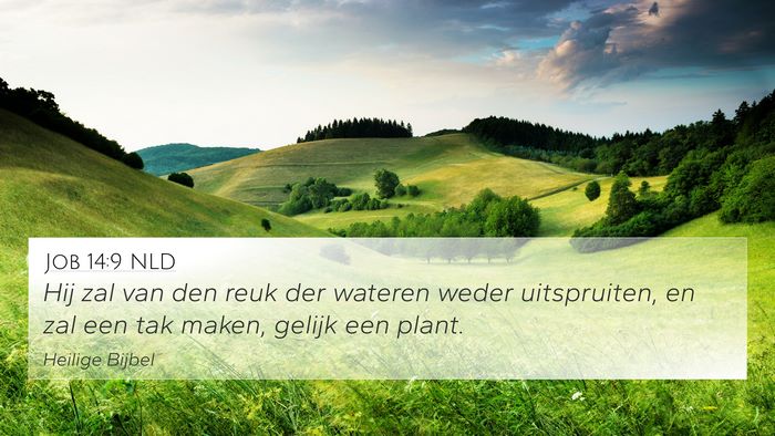 Job 14:9 NLD 4K Wallpaper - Hij zal van den reuk der wateren weder - 4K Wallpaper Bible Verse
