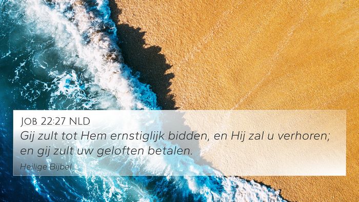 Job 22:27 NLD Bible Verse Image