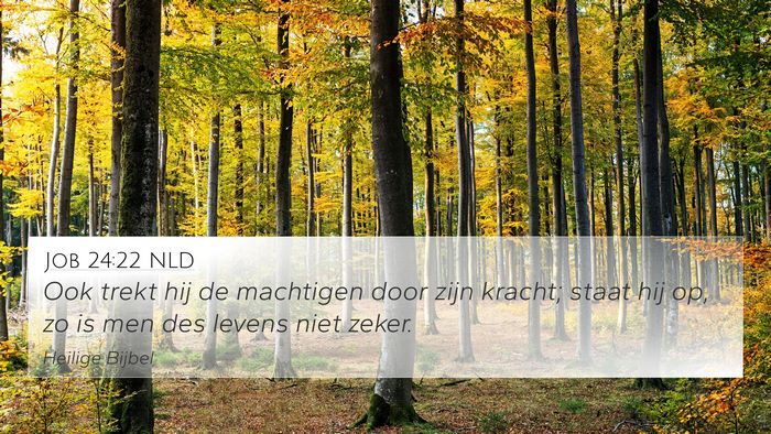 Job 24:22 NLD Bible Verse Image