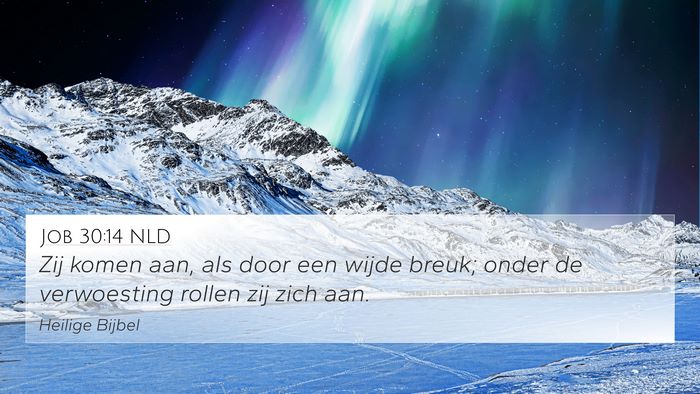 Job 30:14 NLD Bible Verse Image