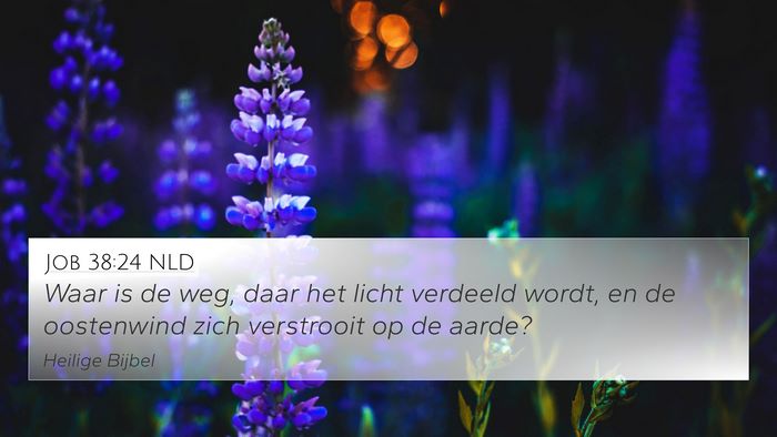 Job 38:24 NLD Bible Verse Image