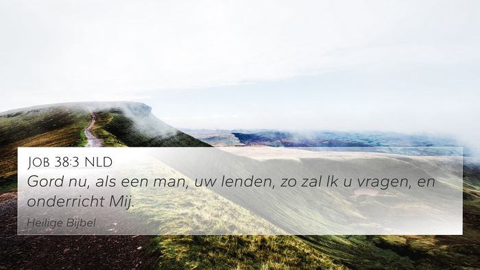 Job 38:3 NLD Bible Verse Image