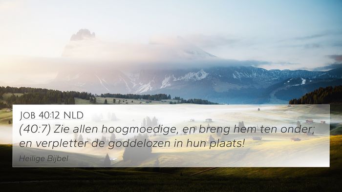 Job 40:12 NLD Bible Verse Image
