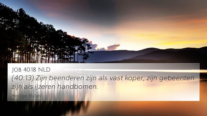 Job 40:18 NLD Bible Verse Image