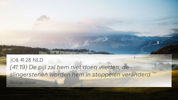 Job 41:28 NLD Bible Verse Image