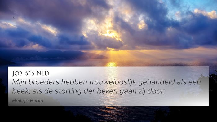 Job 6:15 NLD Bible Verse Image
