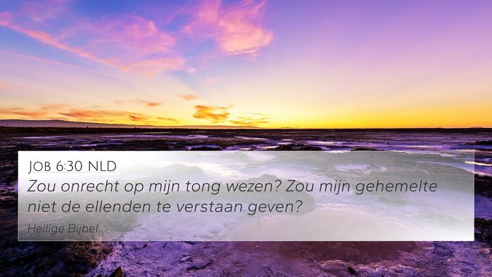 Job 6:30 NLD Bible Verse Image