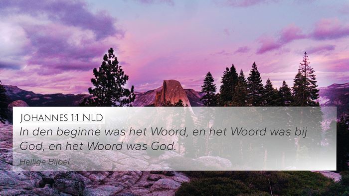 Johannes 1:1 NLD Bible Verse Image