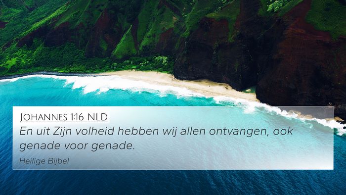 Johannes 1:16 NLD Bible Verse Image