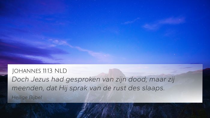 Johannes 11:13 NLD 4K Wallpaper - Doch Jezus had gesproken van zijn dood; maar zij - 4K Wallpaper Bible Verse