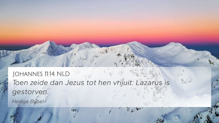 Johannes 11:14 NLD 4K Wallpaper - Toen zeide dan Jezus tot hen vrijuit: Lazarus is - 4K Wallpaper Bible Verse
