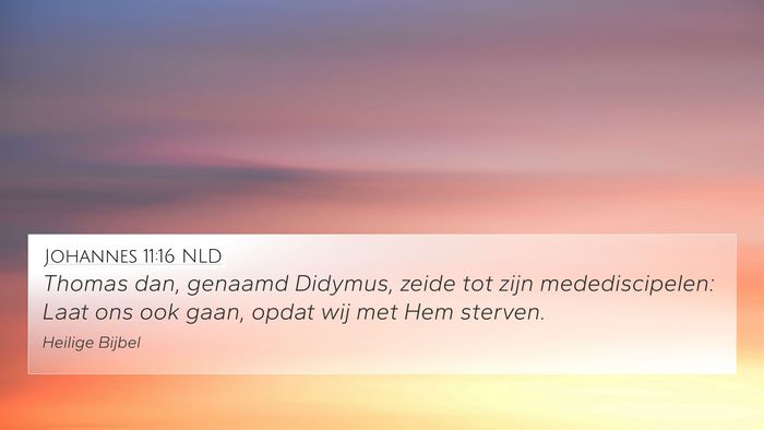 Johannes 11:16 NLD Bible Verse Image
